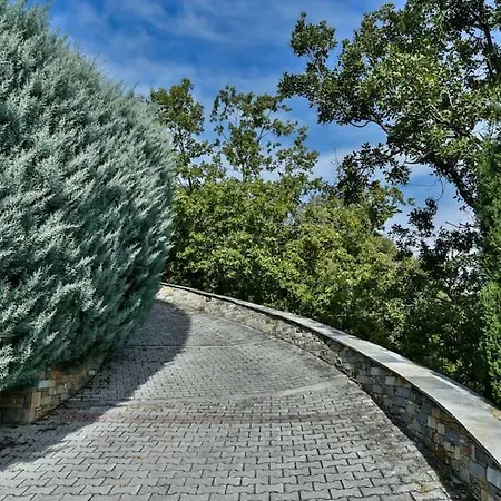 Villa Waterfalls With Breathtaking Aegean View Pilion